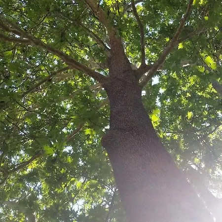 Sunshine - Peaceful Garden Escape & Parking Selianítika