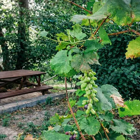 Ferienhaus Sunshine - Peaceful Garden Escape&parking Selianítika