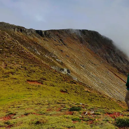 Sunshine - Peaceful Garden Escape & Parking Дом отдыха *