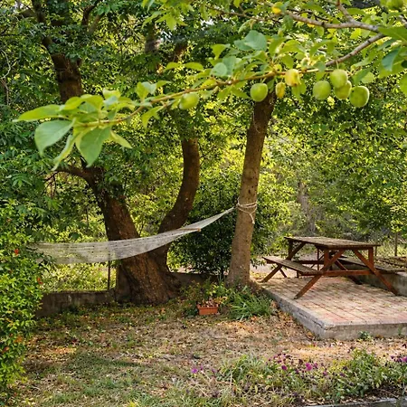 Sunshine - Peaceful Garden Escape & Parking Selianítika