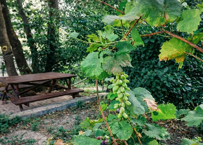 Nyaraló Sunshine - Peaceful Garden Escape & Parking Szelianítika