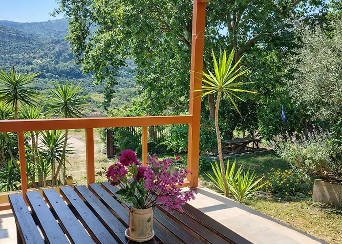 Sunshine - Peaceful Garden Escape & Parking Дом отдыха Селианитика