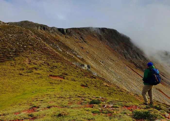 Sunshine - Peaceful Garden Escape & Parking Дом отдыха *